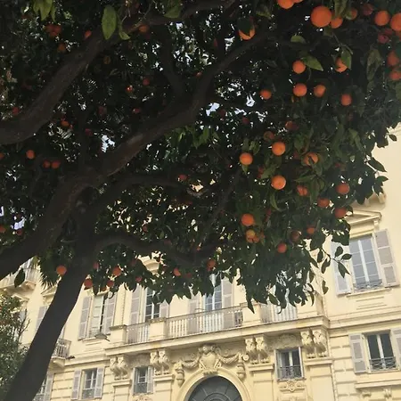 Homestay Petite Privee En Centre Ville Nice